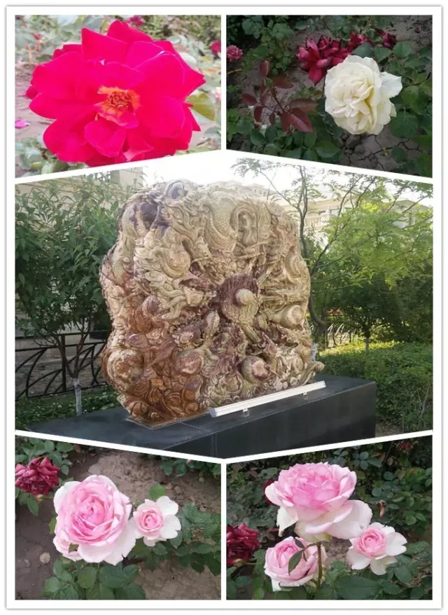 網(wǎng)勢(shì)科技6周歲生日快樂(lè)！